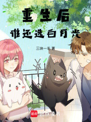 《制度性生存》封面