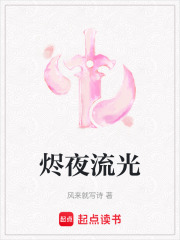《烬夜流光》封面