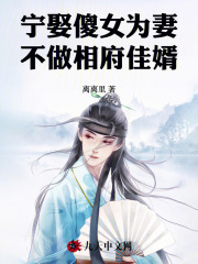 宁娶傻女为妻，不做相府佳婿番外彩蛋