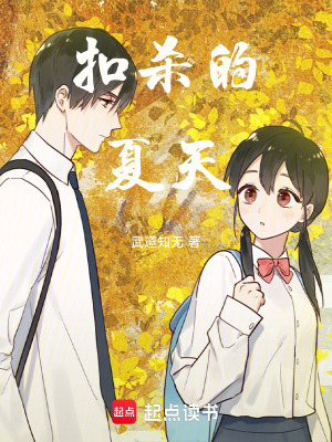 《扣杀的夏天》封面