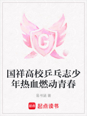 《国祥高校乒乓志少年热血燃动青春》封面