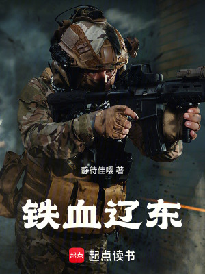 《辽东军事争霸格局》封面