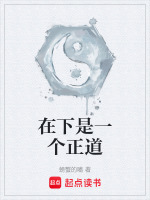 在下是一个正道