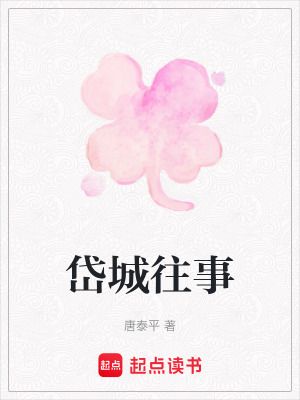 《岱城往事》封面