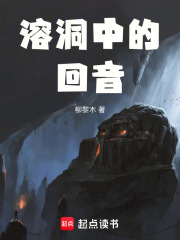 《溶洞中的回音》封面
