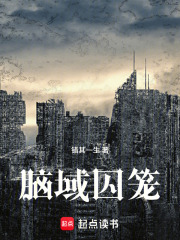 《脑域囚笼》封面