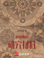 《别动我的研究材料！》封面