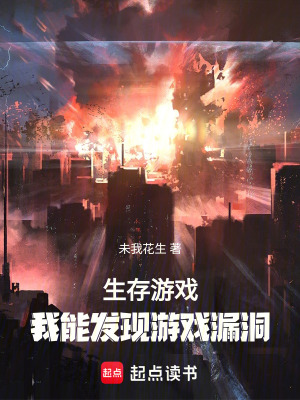 《生存游戏：我能发现游戏漏洞》封面