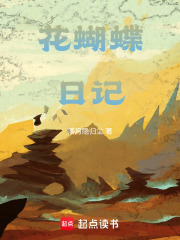 《乱世生存日记》封面