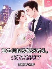 哪本书讲述了傅宴驰许晴晴许晚汐的情节？