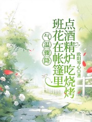 帐篷周安董媛的故事在哪本小说里阅读？