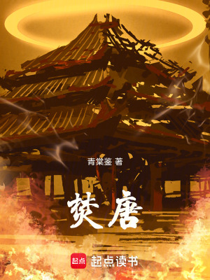 《焚唐》封面