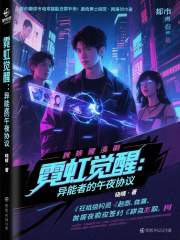 《霓虹茧房》封面
