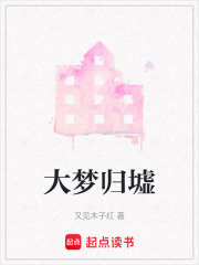 《大梦归墟》封面