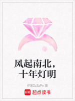 风起南北，十年灯明