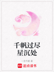 《千帆过尽星沉处》封面