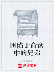 《困陷于命盘中的兄弟》封面