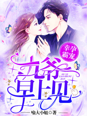 幸孕霸宠：九爷，早上见！全文阅读