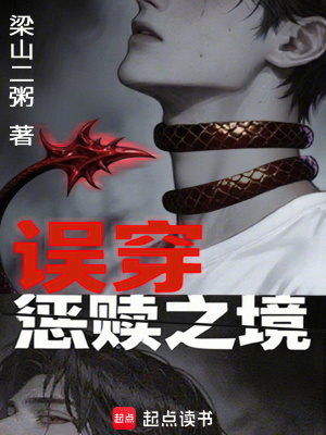 《误穿，惩赎之境！》封面