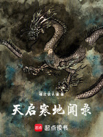 天启寒地闻录