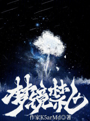 《梦镜禁区》封面