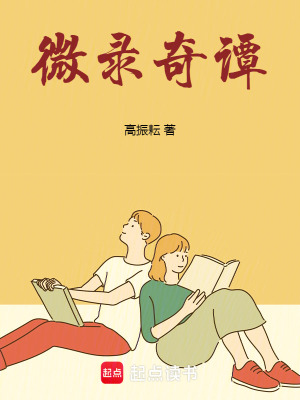 《微录奇谭》封面