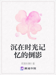 《沉在时光记忆的倒影》封面