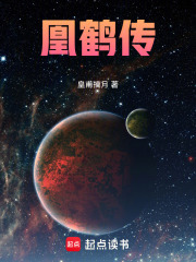 《鹤凰传奇》封面