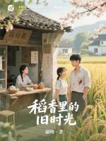 账本未归经典情节