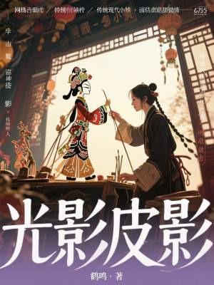 《光影皮影》封面