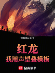 《灰岩公证》封面