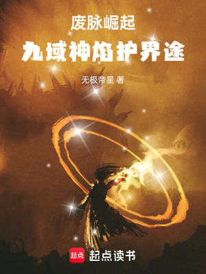 《废脉崛起：九域神焰护界途》封面