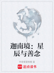 《迦南境：星辰与善念》封面