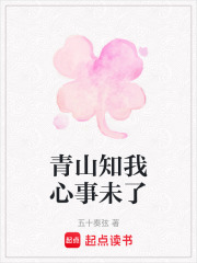 《青山知我心事未了》封面