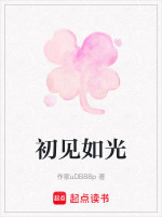 初见如光