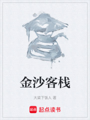 《金沙客栈》封面