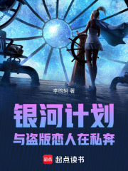 《银河计划：与盗版恋人在私奔》封面