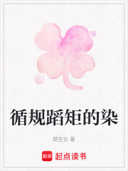 《循规蹈矩的染》封面