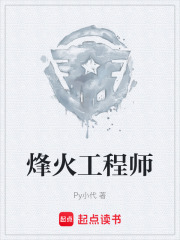 《烽火工程师》封面