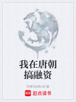 我在唐朝搞融资