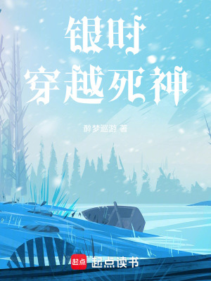 《银时穿越死神》封面