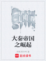 大秦帝国之崛起