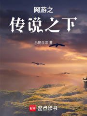 《网游之传说之下》封面
