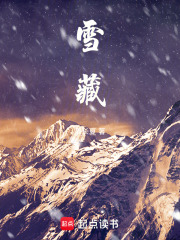 《雪藏》封面