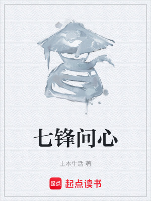 《七锋问心》封面
