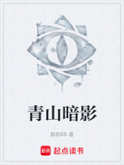 《青山暗影》封面