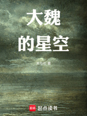 《大魏的星空》封面
