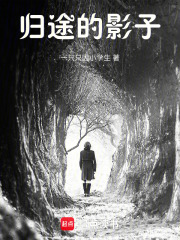 《归途的影子》封面