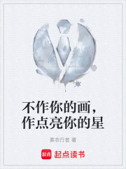 《不作你的画，作点亮你的星》封面
