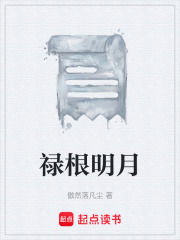 《禄根明月》封面